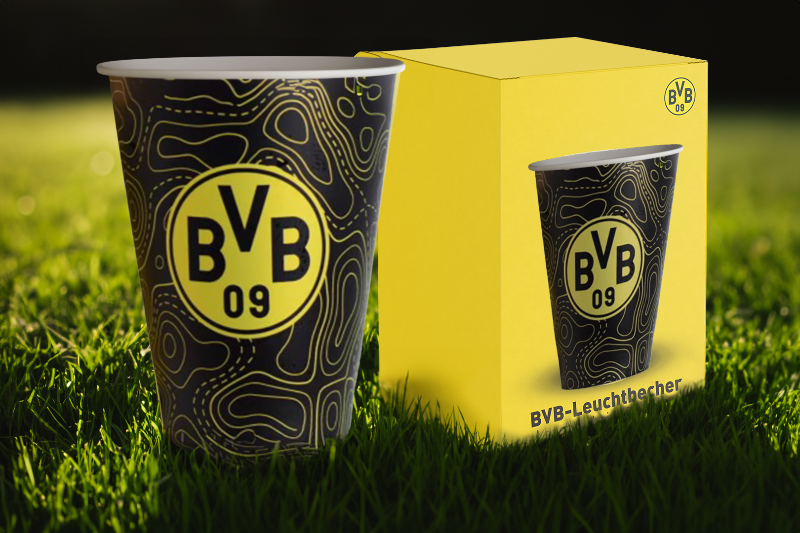 BVB Leuchtbecher