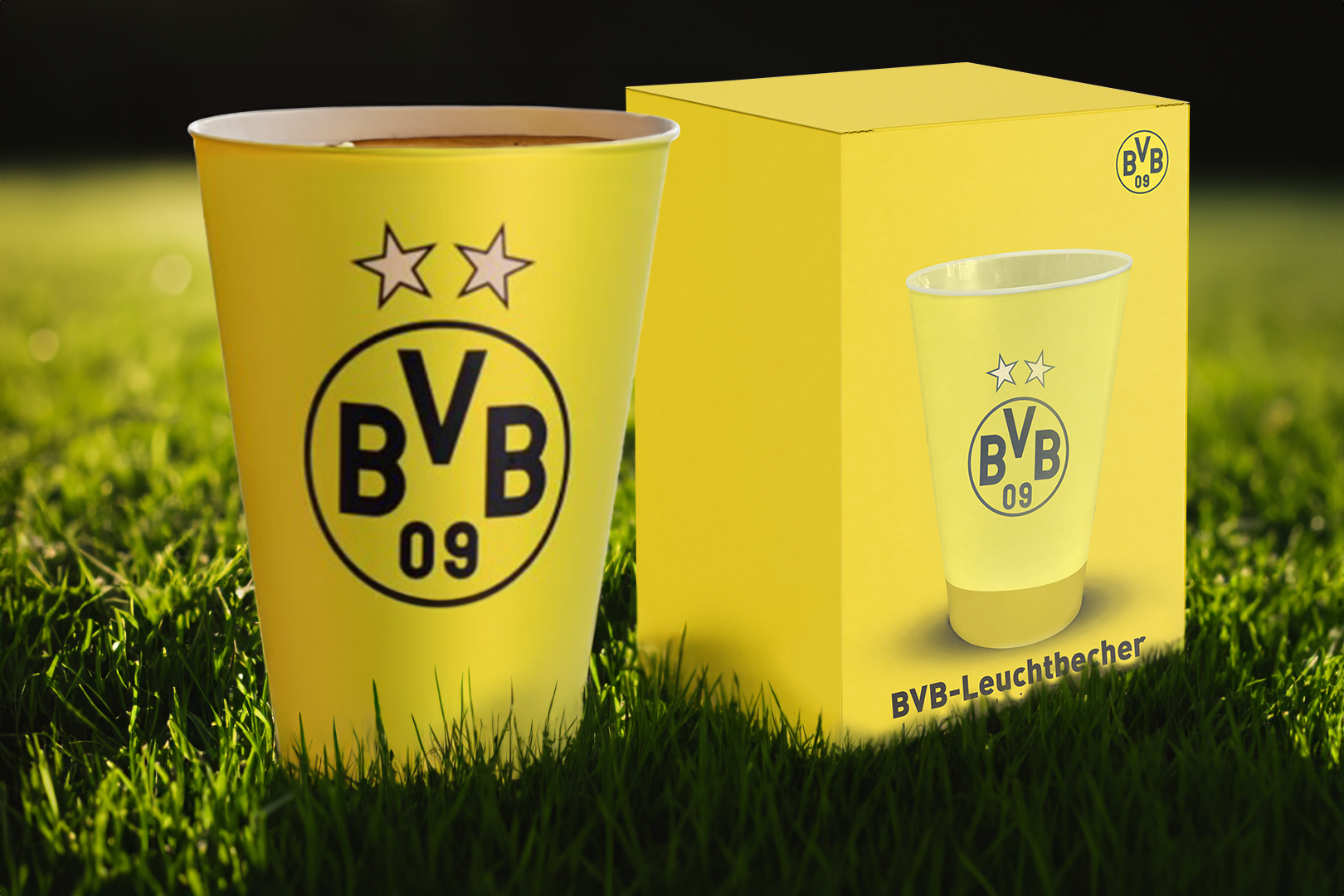 BVB Leuchtbecher